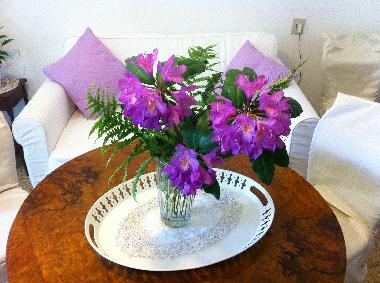 Ferienhaus in Benabbio (Lucca) oder Ferienwohnung oder Ferienhaus