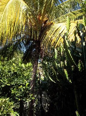 Ferienhaus in la boca trinidad (Sancti Spiritus) oder Ferienwohnung oder Ferienhaus