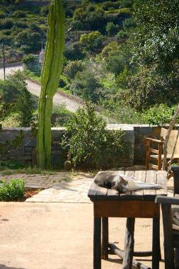 In der Anlage gibt es s��e Miezek�tzchen, die sich nur zu gerne streicheln lassen:-) Ebenso finden S
