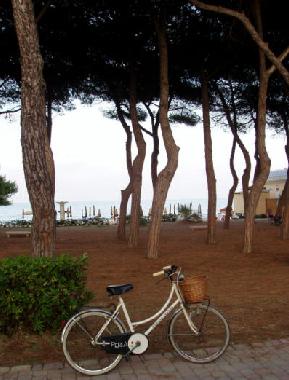 Ferienwohnung in Pineto (Teramo) oder Ferienwohnung oder Ferienhaus