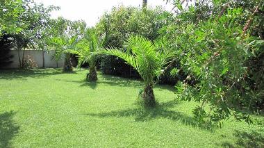 Teilansicht des Gartens