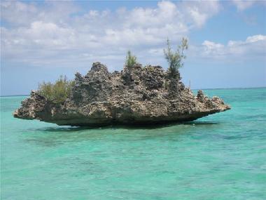 Ausfl�ge z.B.:  zum Balaclava Marine Park, Ile B�nitiers mit Crystal Rock, Ile aux Gabriel .....