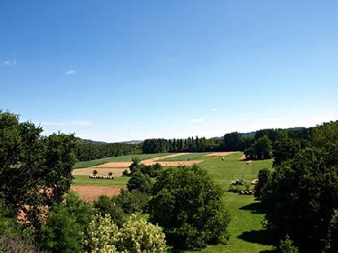 Ferienhaus in Limeuil (Dordogne) oder Ferienwohnung oder Ferienhaus