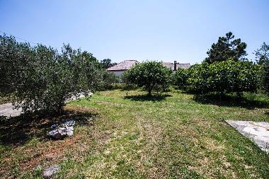Ferienwohnung in Privlaka (Zadarska) oder Ferienwohnung oder Ferienhaus