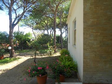 Villa in 7400 (Cagliari) oder Ferienwohnung oder Ferienhaus