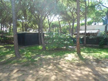 Villa in 7400 (Cagliari) oder Ferienwohnung oder Ferienhaus