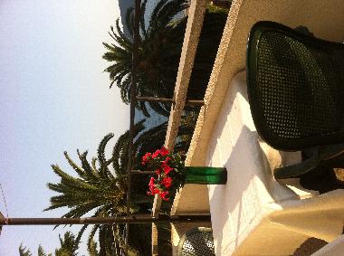 Ferienwohnung in Herceg Novi (Montenegro) oder Ferienwohnung oder Ferienhaus