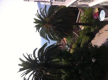 Ferienwohnung in Herceg Novi (Montenegro) oder Ferienwohnung oder Ferienhaus