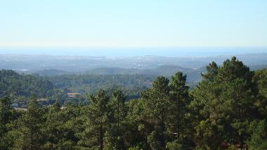 Villa in Monchique (Algarve) oder Ferienwohnung oder Ferienhaus
