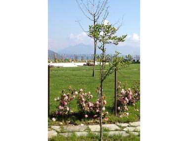 Ferienwohnung in Meina  (Novara) oder Ferienwohnung oder Ferienhaus