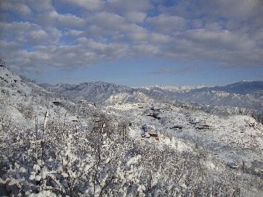 Ferienhaus in shimla (Himachal Pradesh) oder Ferienwohnung oder Ferienhaus