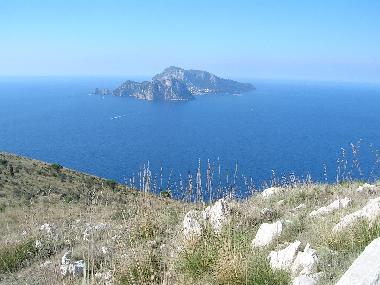 Blick auf Capri