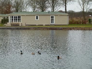 Chalet in Hoge Hexel (Overijssel) oder Ferienwohnung oder Ferienhaus