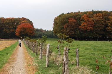 Chalet in Hoge Hexel (Overijssel) oder Ferienwohnung oder Ferienhaus