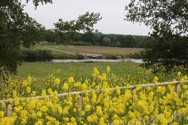 Chalet in Hoge Hexel (Overijssel) oder Ferienwohnung oder Ferienhaus