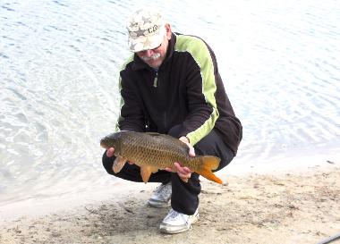 Chalet in Hoge Hexel (Overijssel) oder Ferienwohnung oder Ferienhaus