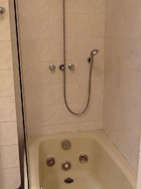 Ferienwohnung in Rio de Janeiro (Rio de Janeiro) oder Ferienwohnung oder Ferienhaus