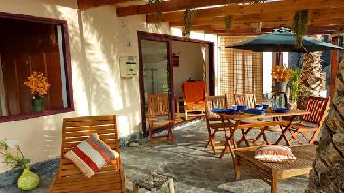 NATURSTEINTERRASSE MIT PALMEN