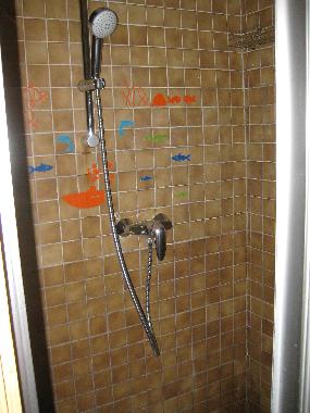 Blick in die Dusche