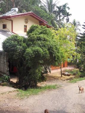 Ferienhaus in Induruwa (Kalutara) oder Ferienwohnung oder Ferienhaus
