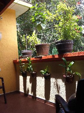 Ferienhaus in Induruwa (Kalutara) oder Ferienwohnung oder Ferienhaus