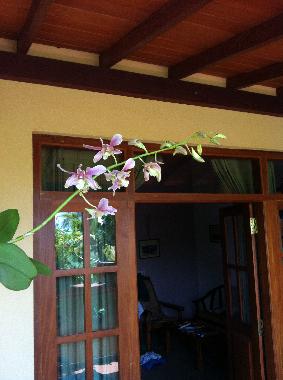 Ferienhaus in Induruwa (Kalutara) oder Ferienwohnung oder Ferienhaus