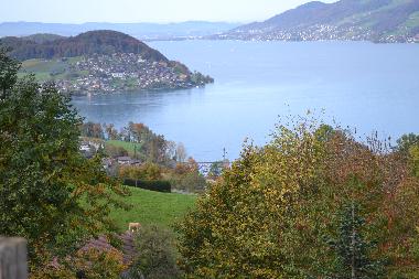 Blick auf dem Thunersee