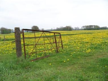 Wohnwagen in Vledder (Drenthe) oder Ferienwohnung oder Ferienhaus