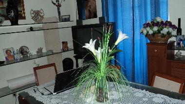 Ferienwohnung in Lisboa (Grande Lisboa) oder Ferienwohnung oder Ferienhaus