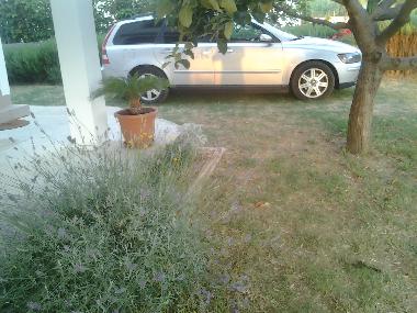 Ferienwohnung in Lopar (Primorsko-Goranska) oder Ferienwohnung oder Ferienhaus