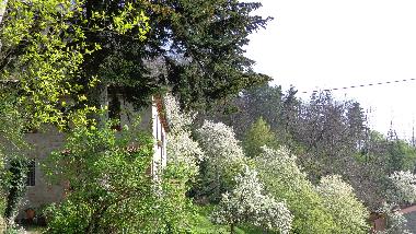 Ferienhaus in Bagni di Lucca (Lucca) oder Ferienwohnung oder Ferienhaus