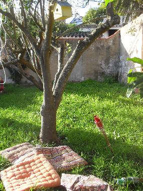 Pension in obidos (Oeste) oder Ferienwohnung oder Ferienhaus