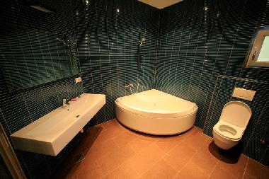 Villa in Blato (Dubrovacko-Neretvanska) oder Ferienwohnung oder Ferienhaus