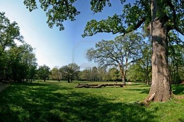 Ferienwohnung in PULA (Istarska) oder Ferienwohnung oder Ferienhaus