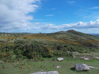 Bodmin Moor