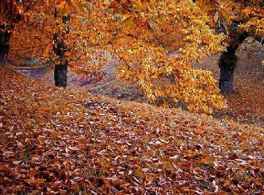 Chalet in Tagliacozzo (L