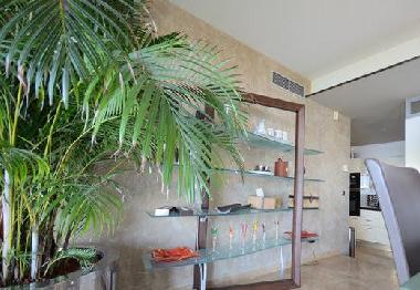 Pension in Vallauris (Alpes-Maritimes) oder Ferienwohnung oder Ferienhaus