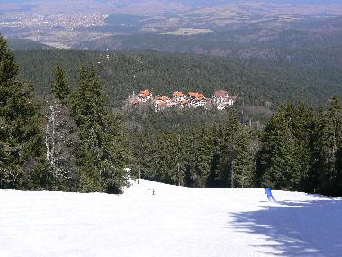 Pension in  (Sofiya) oder Ferienwohnung oder Ferienhaus