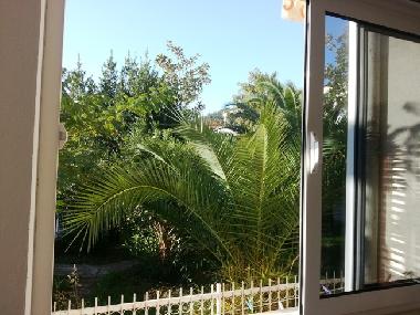 Ferienwohnung in budva (Montenegro) oder Ferienwohnung oder Ferienhaus