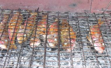 Ferienwohnung in Mandre (Zadarska) oder Ferienwohnung oder Ferienhaus