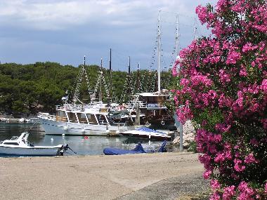 Ferienwohnung in Mandre (Zadarska) oder Ferienwohnung oder Ferienhaus