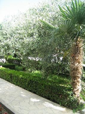 Ferienwohnung in Omi (Splitsko-Dalmatinska) oder Ferienwohnung oder Ferienhaus