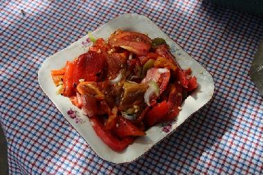 Ferienhaus in Kryvenik (Gabrovo) oder Ferienwohnung oder Ferienhaus