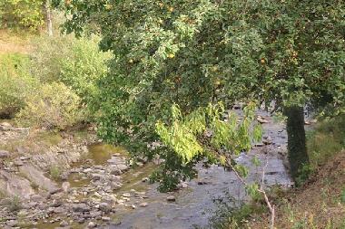 Ferienhaus in Kryvenik (Gabrovo) oder Ferienwohnung oder Ferienhaus