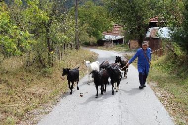 Ferienhaus in Kryvenik (Gabrovo) oder Ferienwohnung oder Ferienhaus