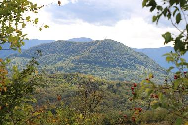 Ferienhaus in Kryvenik (Gabrovo) oder Ferienwohnung oder Ferienhaus