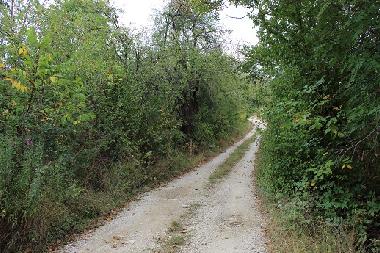 Ferienhaus in Kryvenik (Gabrovo) oder Ferienwohnung oder Ferienhaus