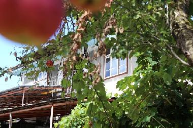 Ferienhaus in Kryvenik (Gabrovo) oder Ferienwohnung oder Ferienhaus