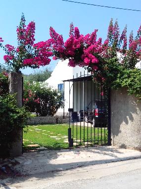 Ferienhaus in Psaras (Kerkyra) oder Ferienwohnung oder Ferienhaus