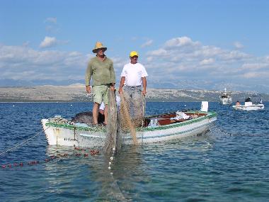 Ferienwohnung in Mandre (Zadarska) oder Ferienwohnung oder Ferienhaus